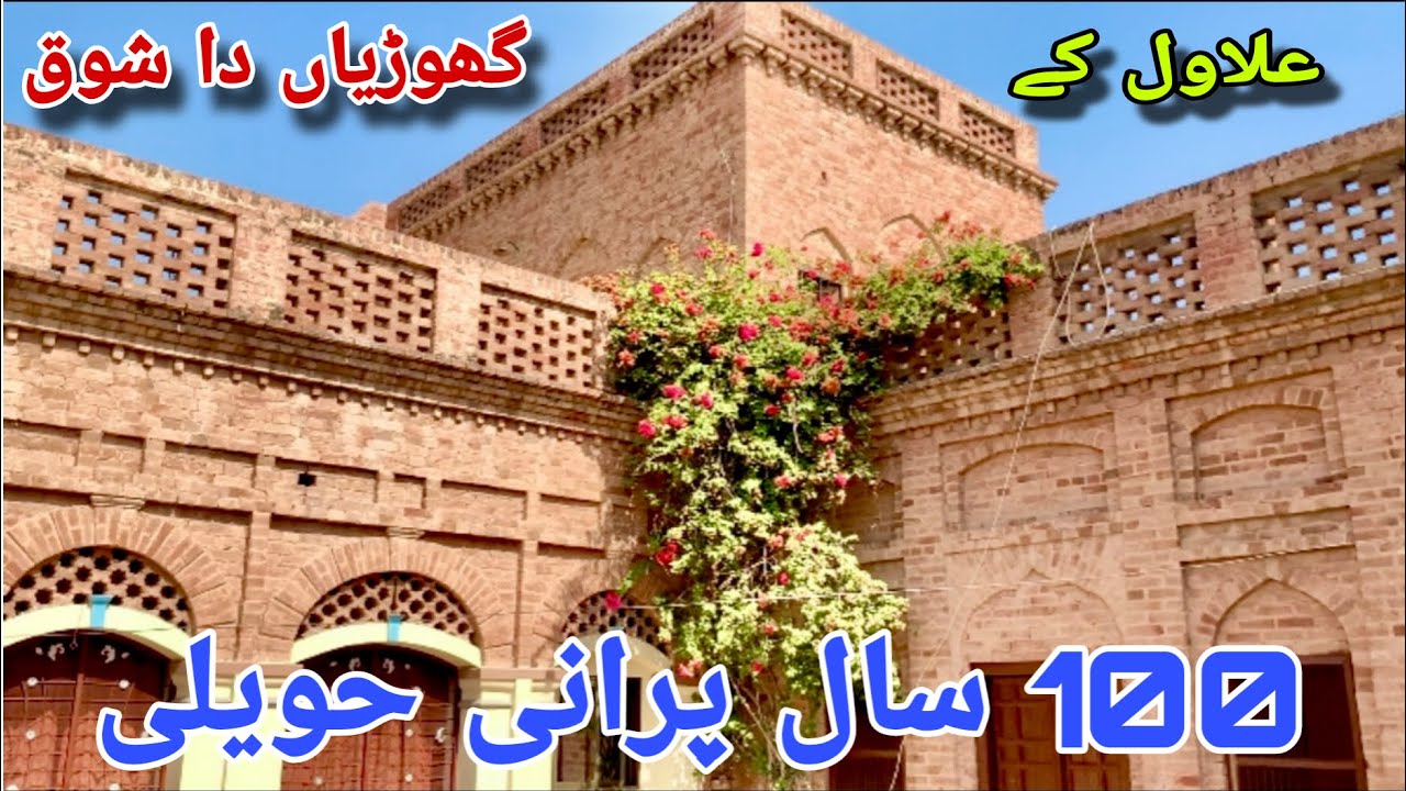 Thata Alawal k Bangla gogira okara | Desi Ghodian |Ravi Breed |Beautiful horses