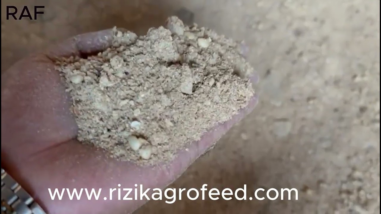 রিজিক এগ্রো ফিড | গরুর মিক্সার ফিড তৈরির সম্পূর্ণ প্রক্রিয়া | Cow Feed Production in Bangladesh