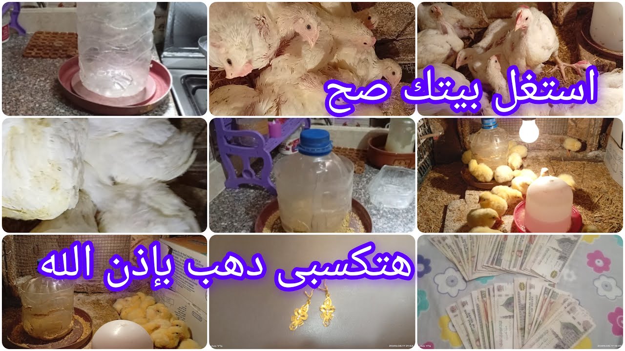 مشروع من البيت 🏠 استغلي كل حاجة حواليكي واكسبي دهب