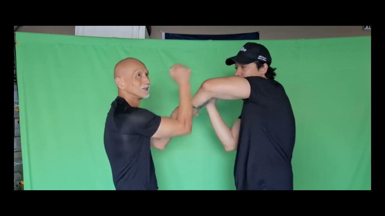 Wing Chun Kung Fu Drill Lap Sao Changes