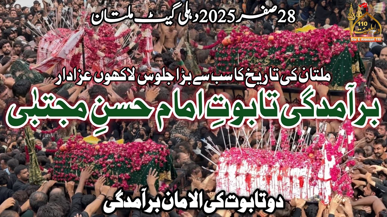 28 Safar 2025 Multan | Baramdagi Taboot Imam Hassan |Markazi Jaloos Shahadat Imam Hassan Multan 2025