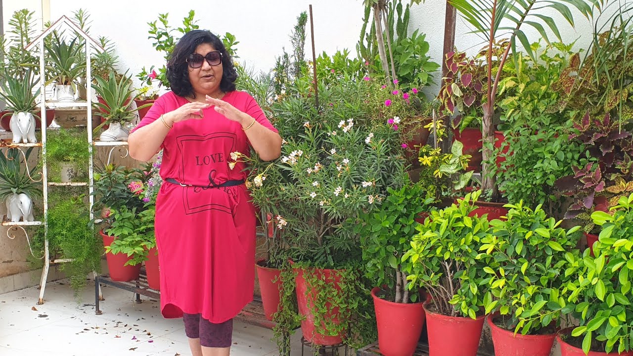 September Gardening Works - Fun Gardening