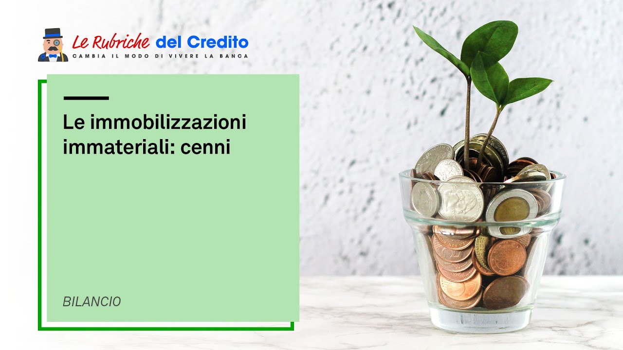 Le immobilizzazioni immateriali: cenni