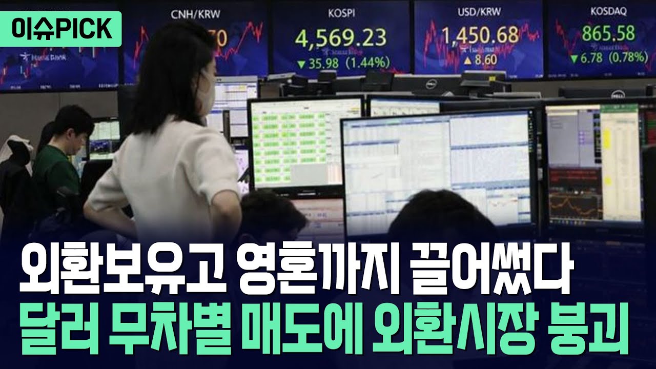 [이슈PICK] 환율 폭등하자 달러 무차별 매각... 외환보유고 역대급 감소에 초비상 / 사건텔러