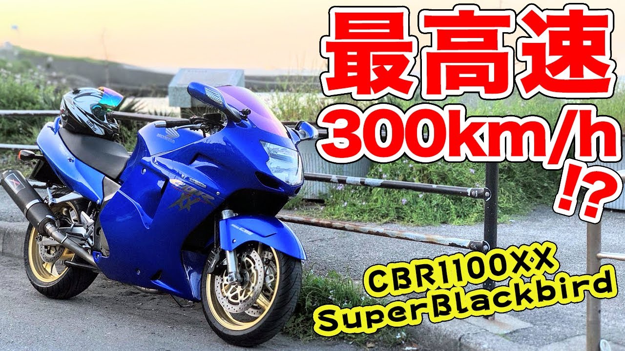 元・世界最速の市販車！オシャレにカスタムされたCBR1100XXブラックバードが登場！