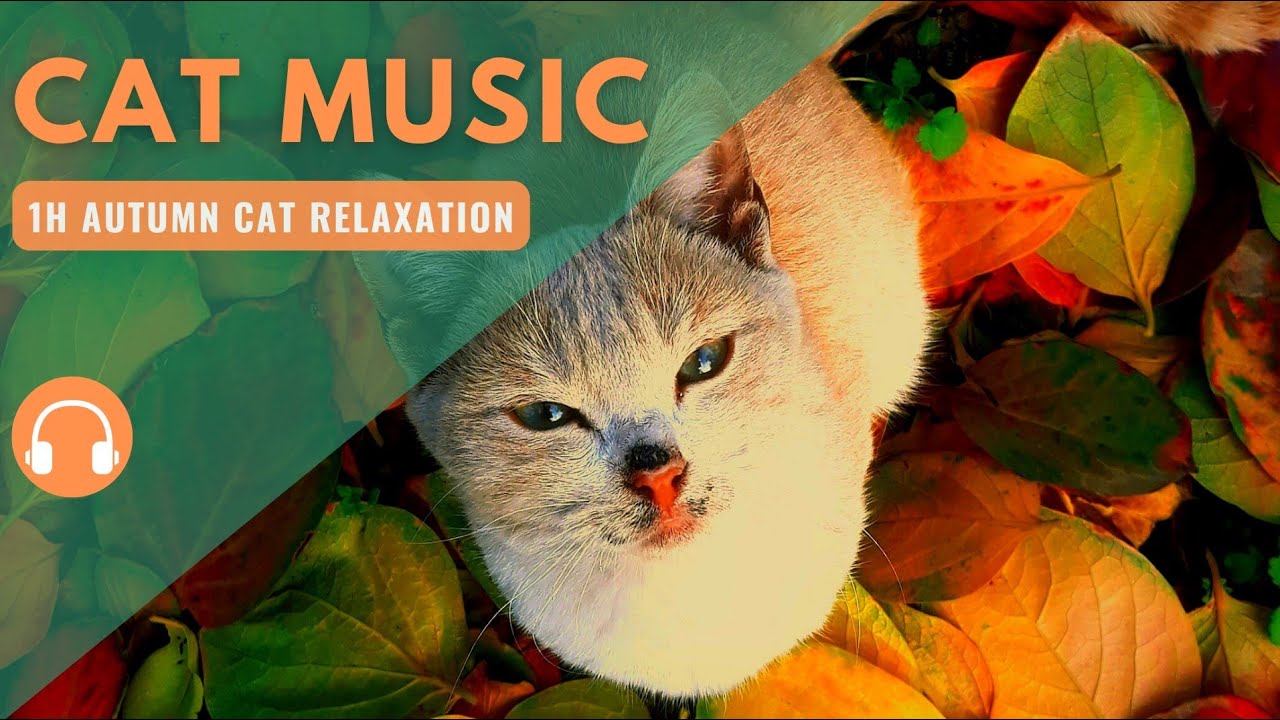 Relaxing Autumn Cat Music 🍂1 Hour of Calming Flute |No Ads|