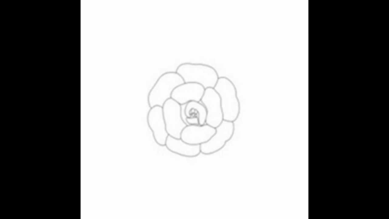 모리(Morrie)-Morrie Note