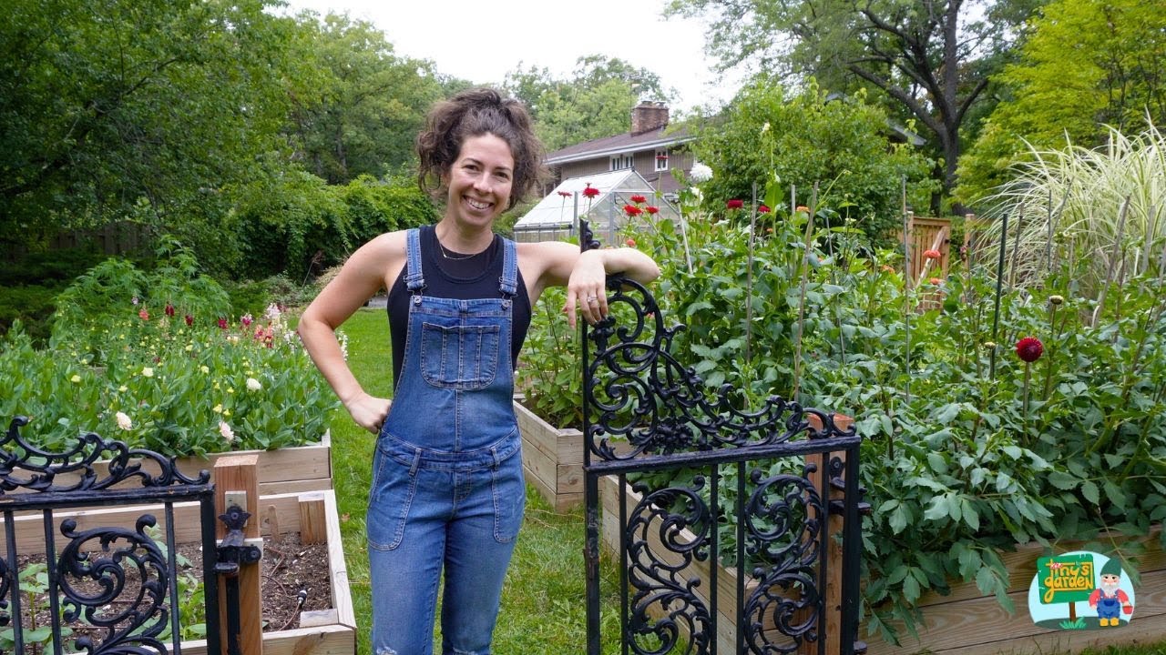 August Raised Bed Cut Flower Garden Tour - A Home Gardener's Passion Grown From Seed in Zone 5B!