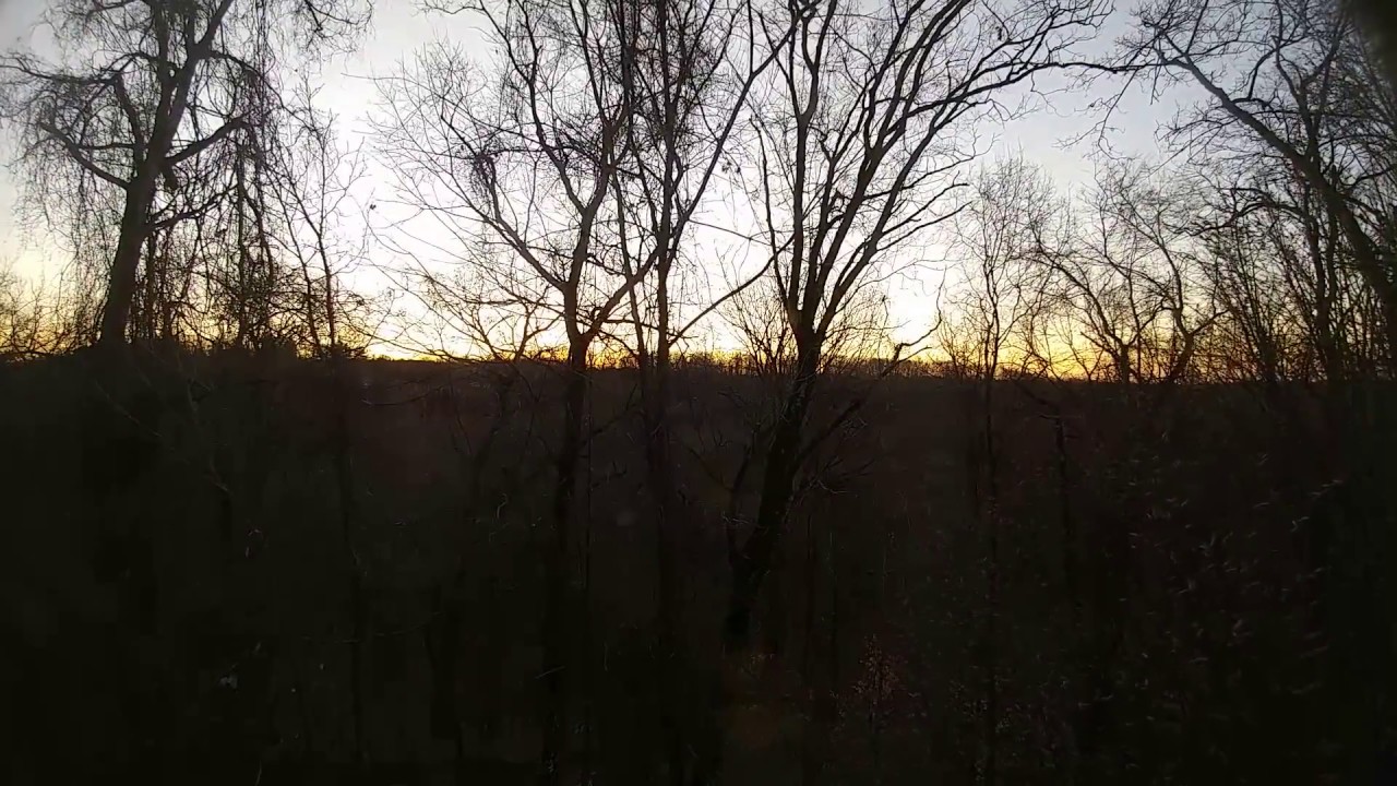 A brief glimpse...
