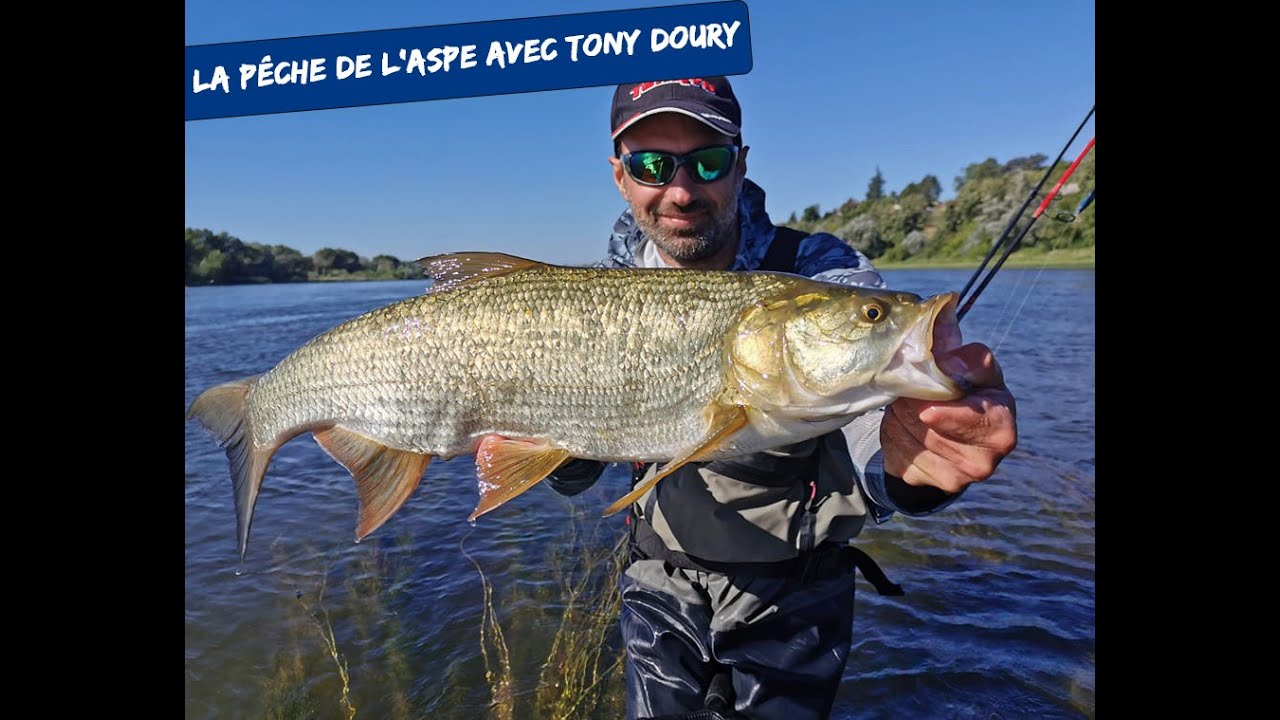 La pêche de l'aspe avec Tony DOURY