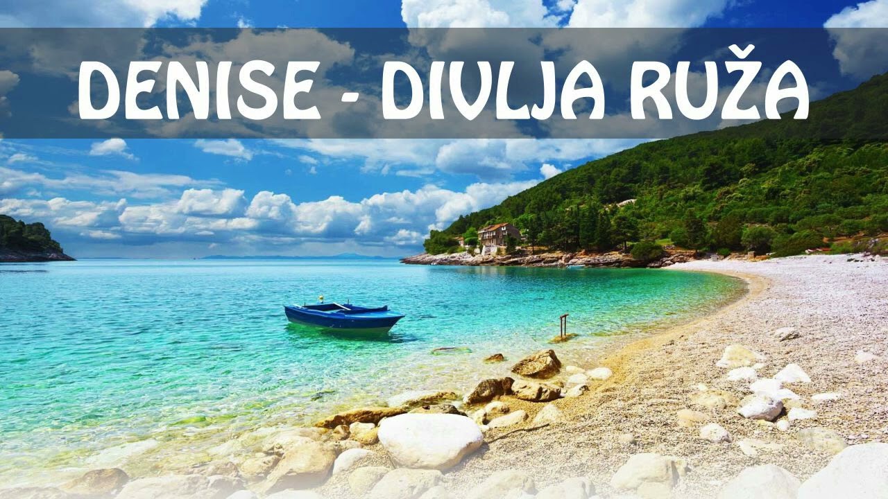 Denise - Divlja ruža
