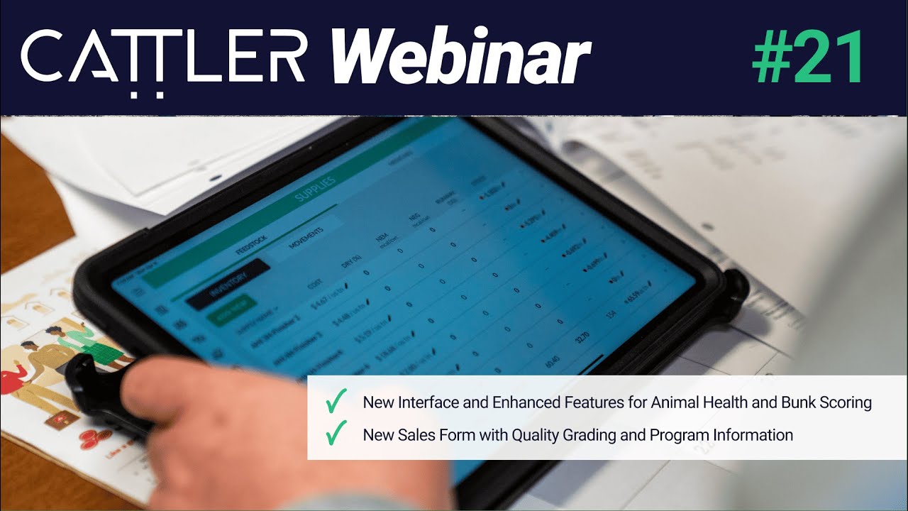 Cattler Update Webinar #21 - November 2025