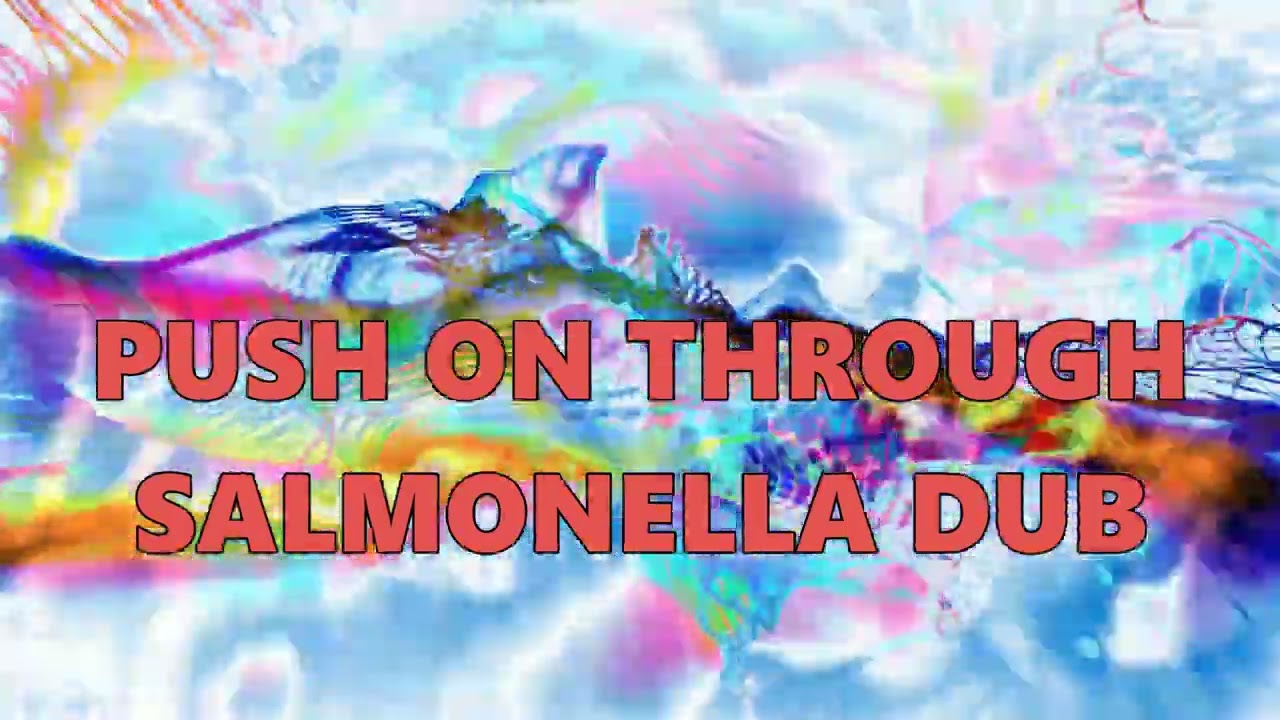 Salmonella Dub - Push On Through (Dub)