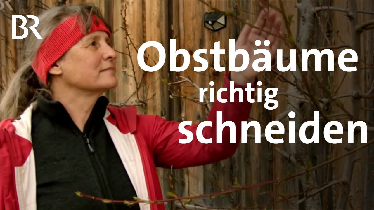 Frühe Blüte bei Obstbäumen: Der richtige Schnitt und die beste Sorte | Schwaben & Altbayern | BR