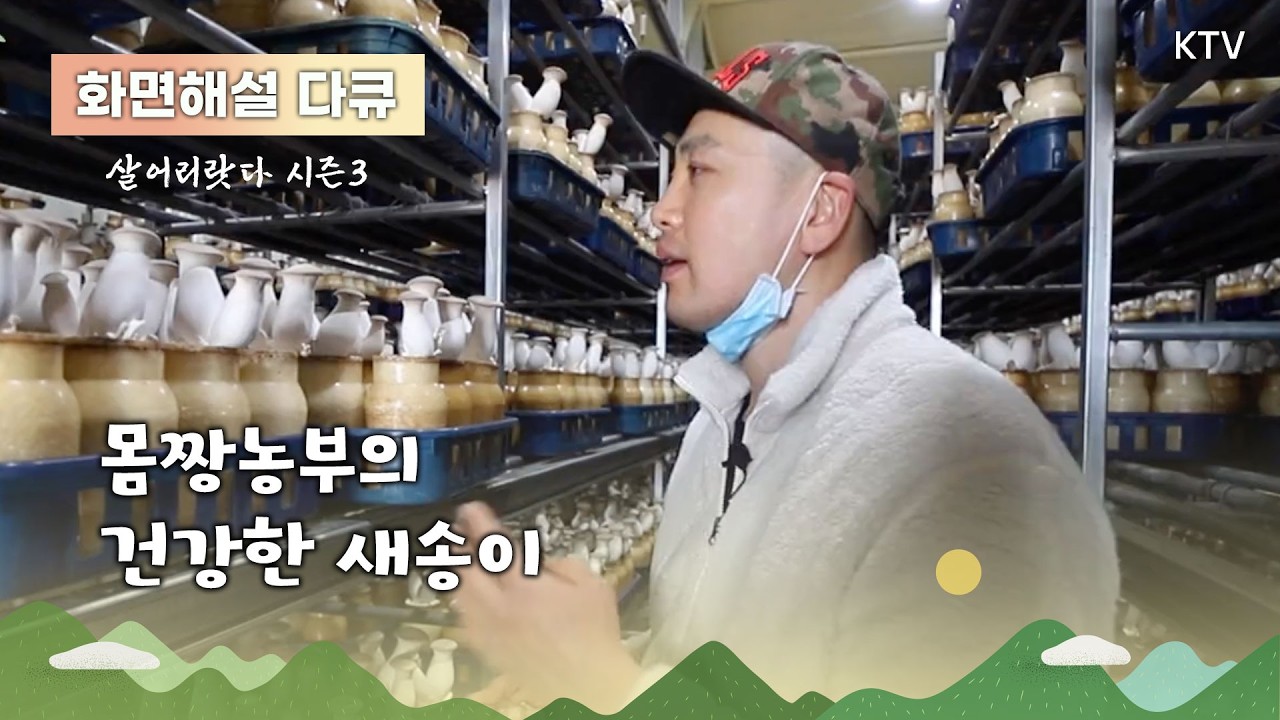 (화면해설) 살어리랏다 시즌3 21회 몸짱농부의 건강한 새송이