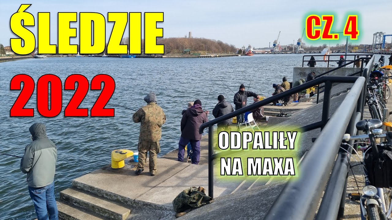 Śledzie 2022 cz. 4. Wreszcie odpaliły na MAXA 💪 🐟 🎣. Gdańsk Nowy Port.