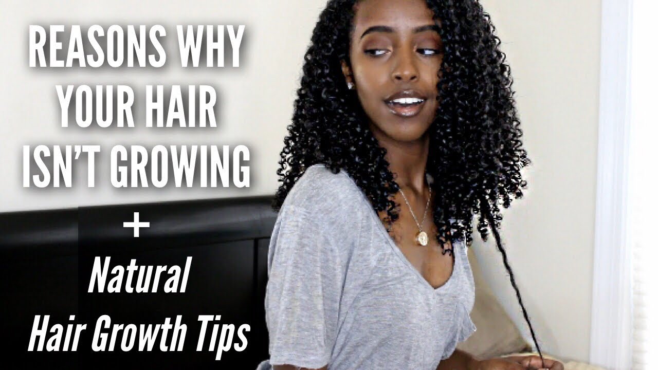 REASONS WHY YOUR HAIR ISN'T GROWING | Natural Curly Hair Growth Tips