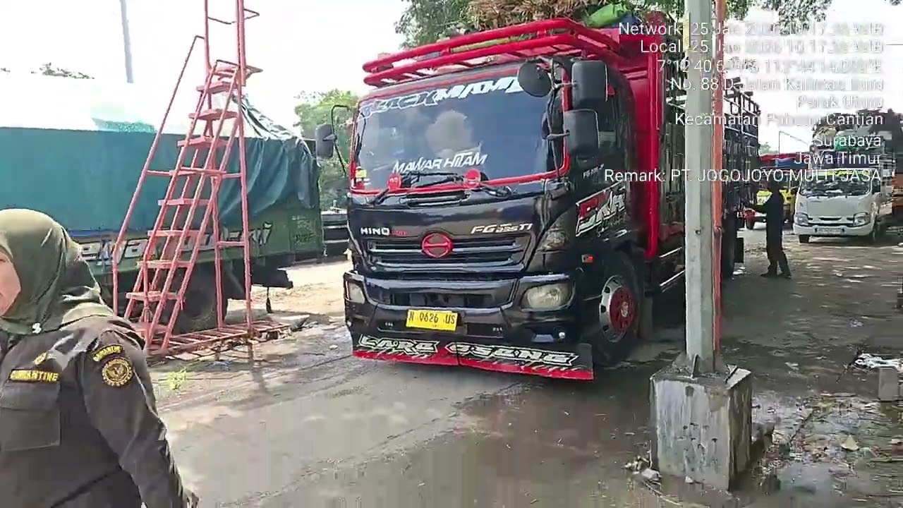 Sapi potong ras bali 30 ekor dari ENDE NTT dengan tujuan akhir BOGOR JAWA BARAT.