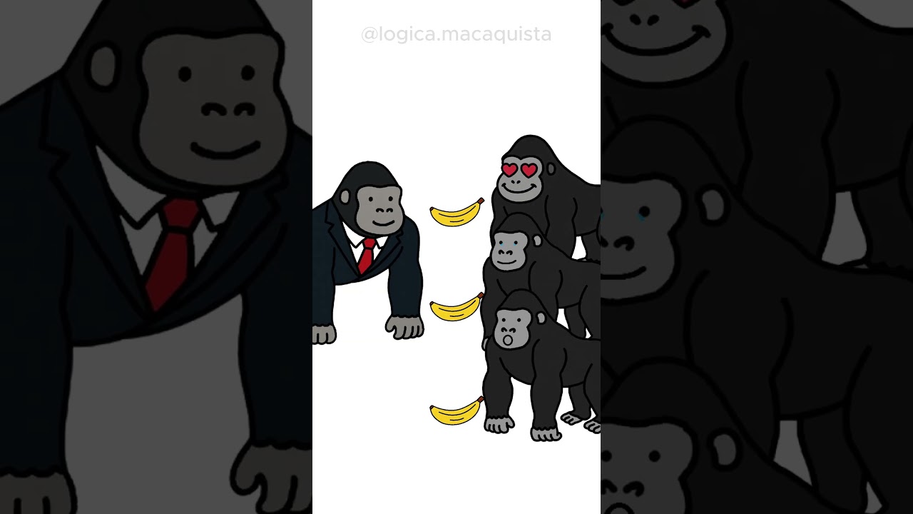 O que &eacute; socialismo e como funciona?