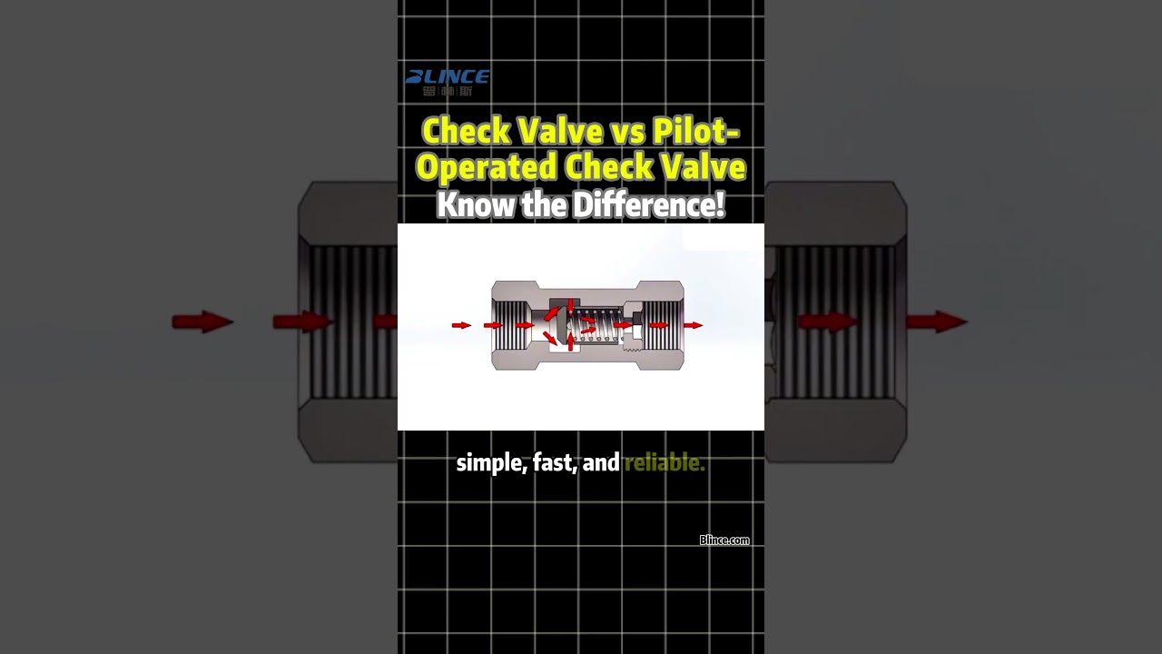 🔧 Check Valve vs Pilot-Operated Check Valve &mdash; The Key Difference Explained! #blince