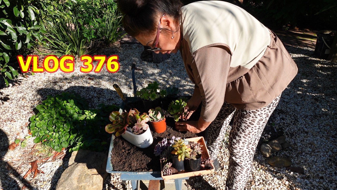 ВИКТОРИЯ: Покупки растений в садовую тачку и композиция | ВЛОГ №376 &mdash; Выращивание суккулентов с LizK