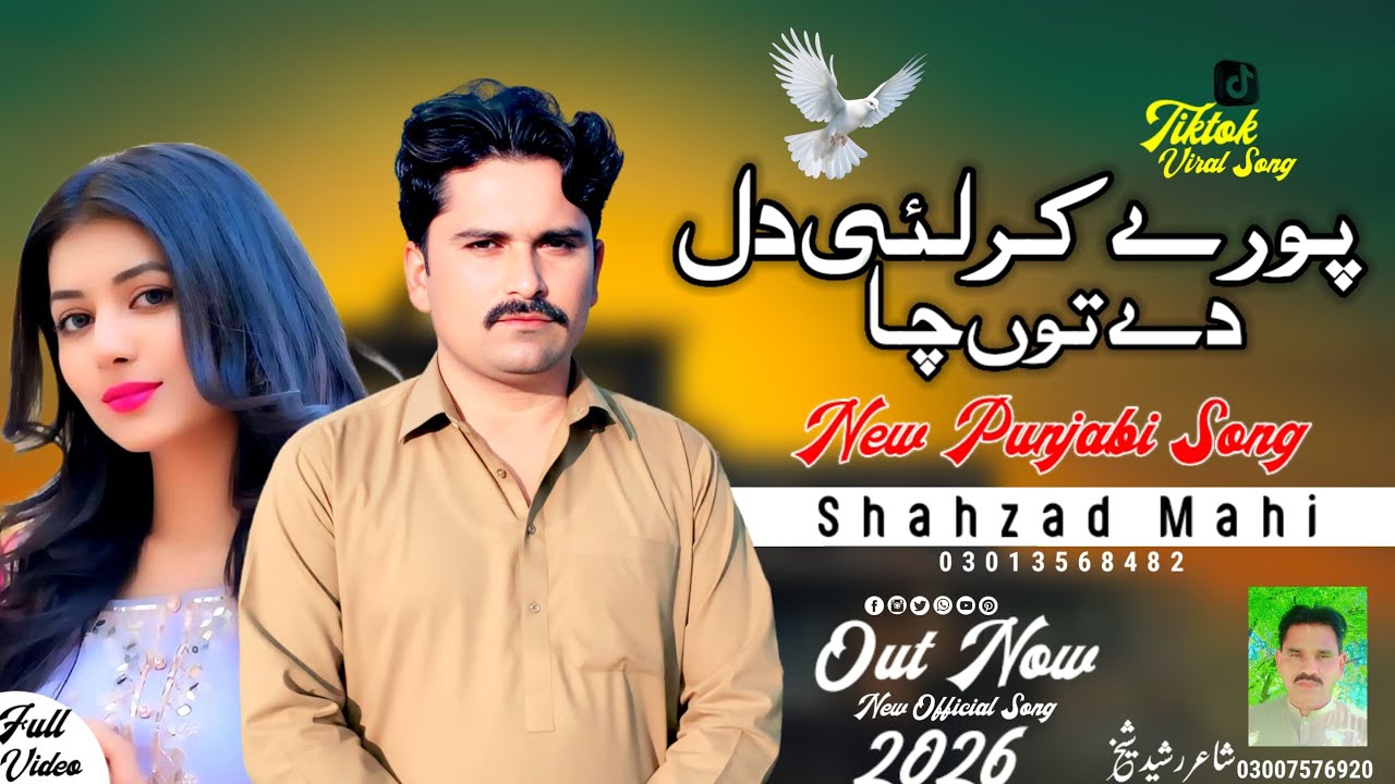 Pure kar li Dil de tu cha#punjabisong #sindhisong #viralvideo #newsong 2026