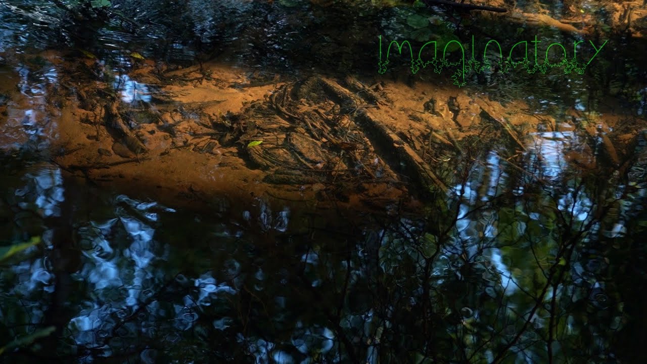 Light comes dancing. 5 Minute Nature Meditation: Imaginatory