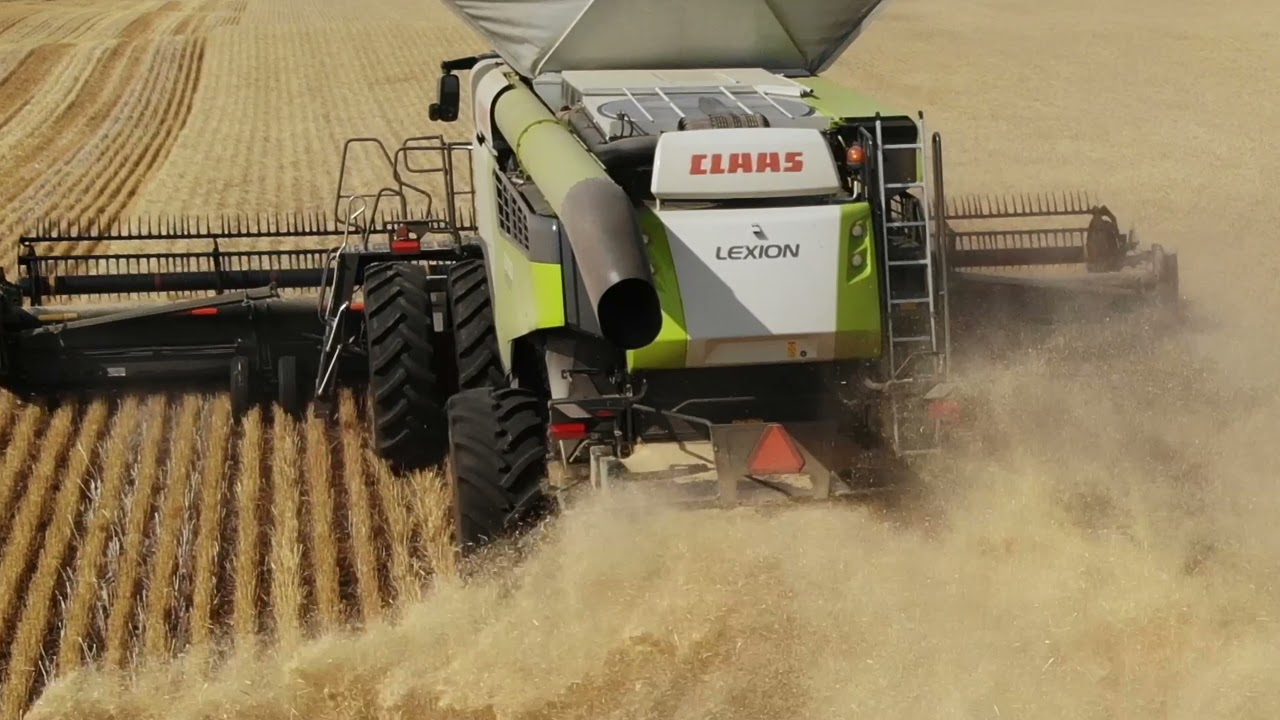 Harvest 2021 Starland County, Alberta. Beneath the skies
