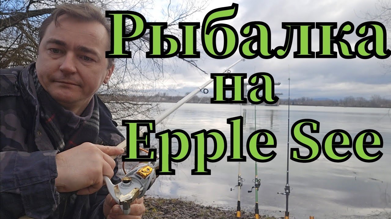 Активная рыбалка🎣 на Epple See клюнула плотва на опарыш #рыбалка #angeln #fishing # #плотва #see 