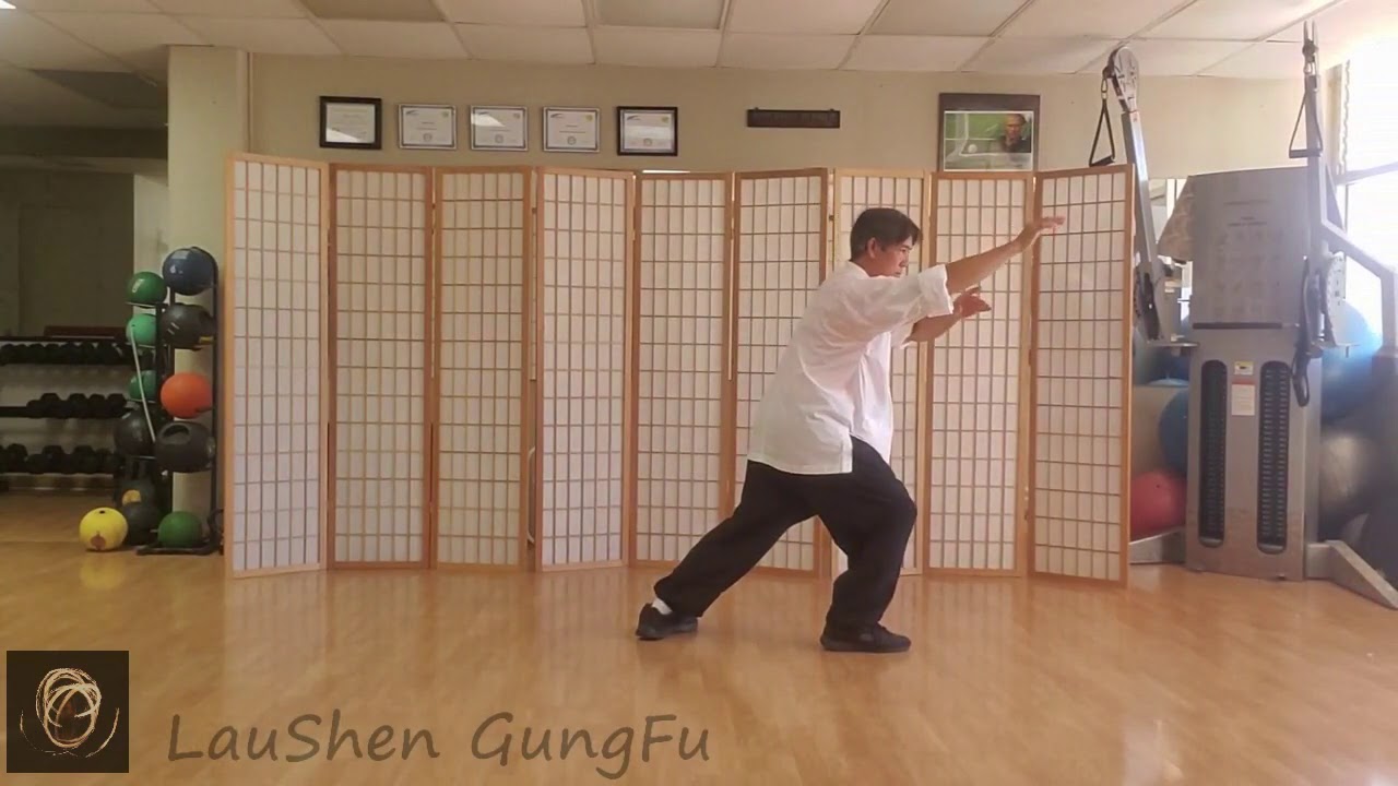 Yang Taichi Long Form, BackView Sections 1 and 2