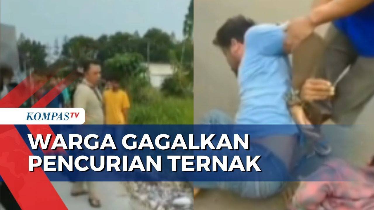 Kepergok Curi Kambing, 2 Pelaku Pencurian Diamuk Warga
