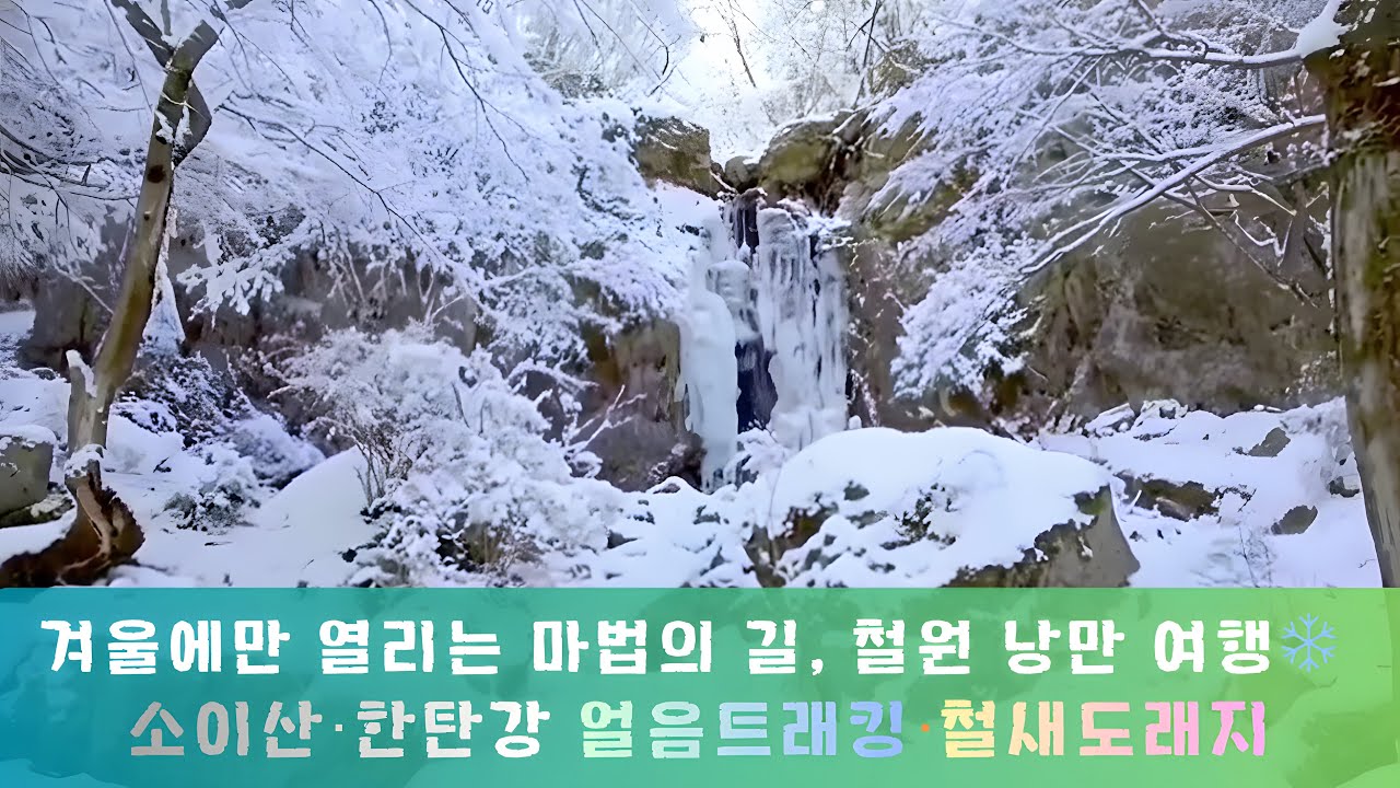겨울에만 열리는 마법의 길, 철원 낭만 여행❄️ | 소이산·한탄강 얼음트래킹·철새도래지