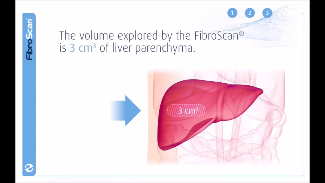 3 Stages of the FibroScan examination