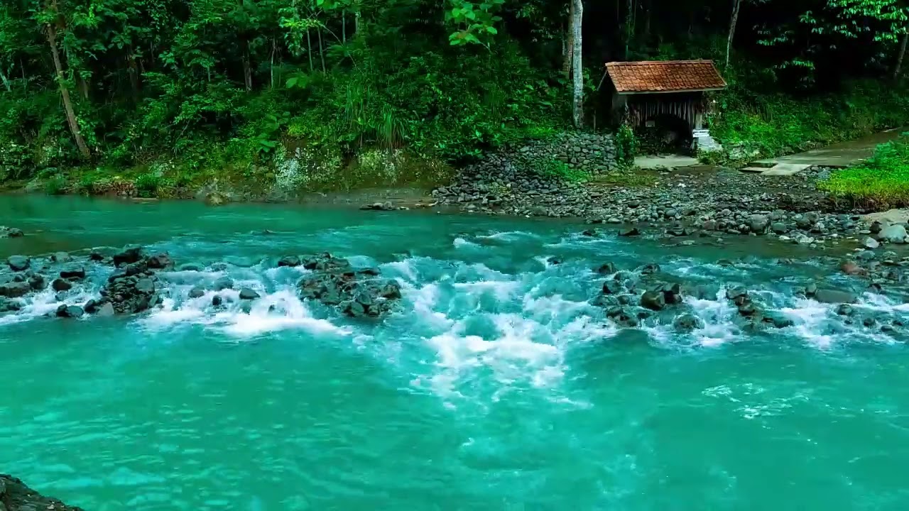 Salinan dari Forest Ambience Sounds - Healing Nature Sounds for Sleep and Relaxation, ASMR