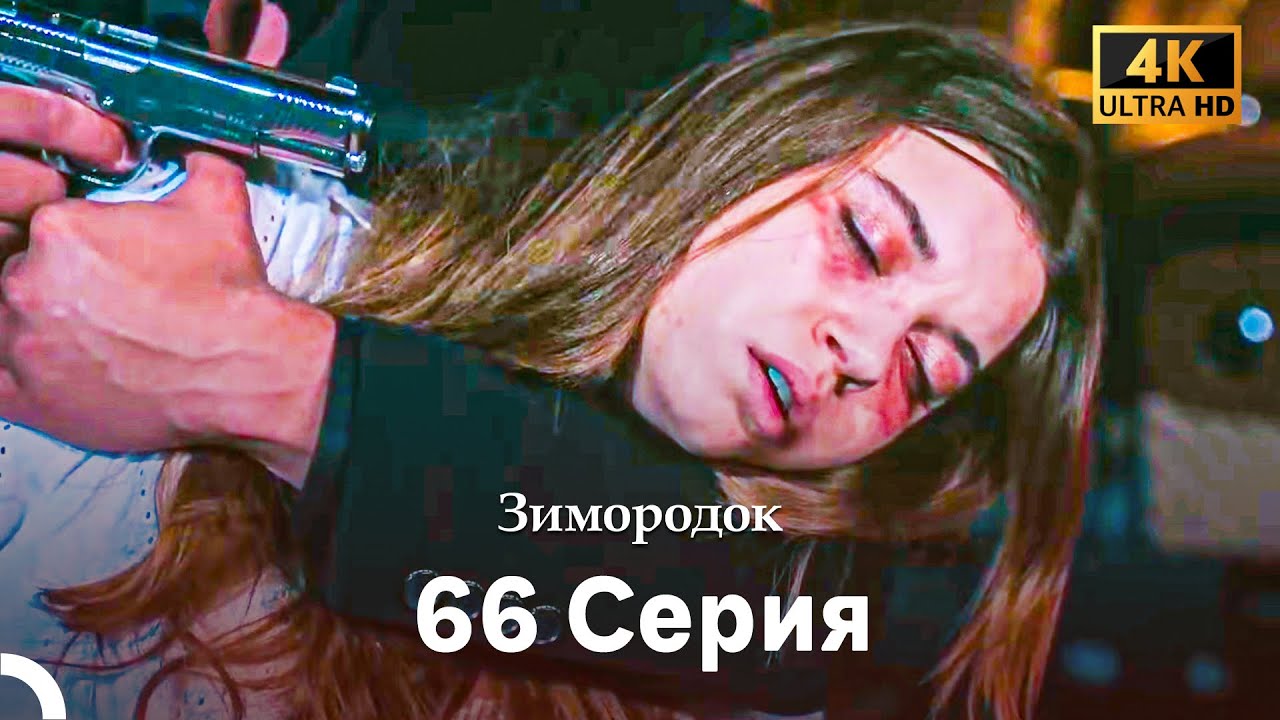 Зимородок 66 Cерия (Русский дубляж) (4K)
