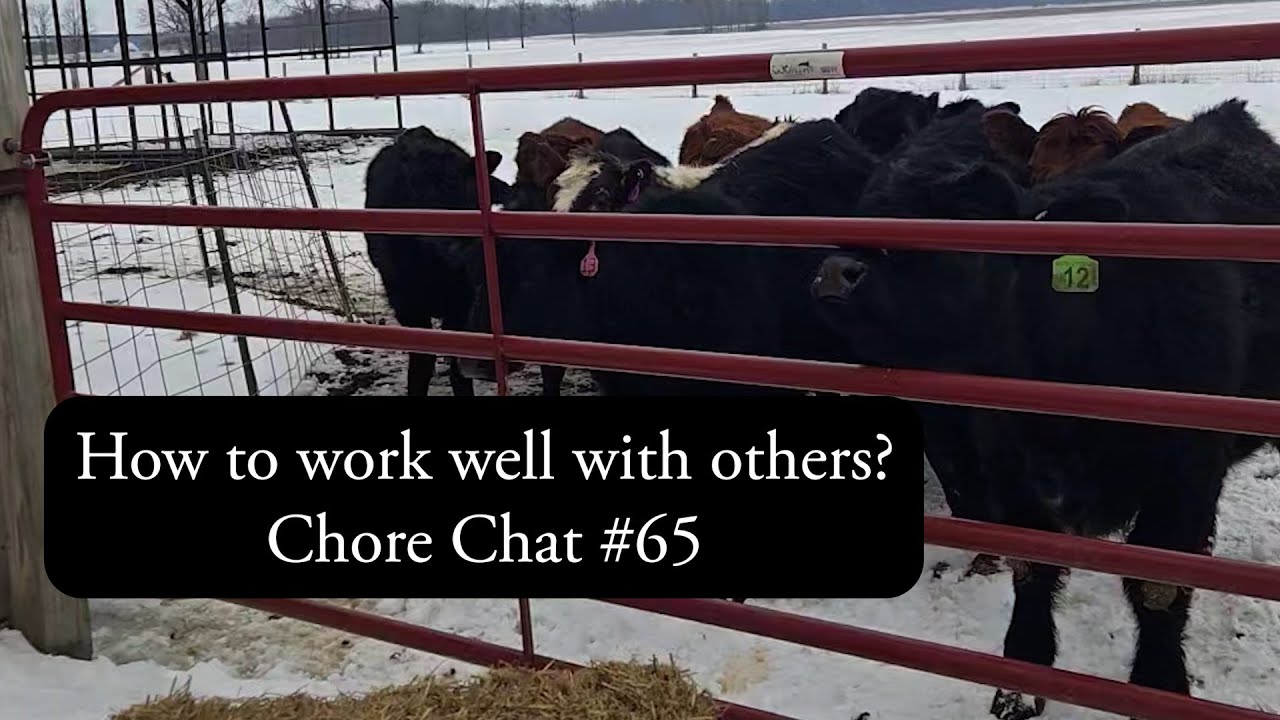 Chore Chat #65: How to work well with others?