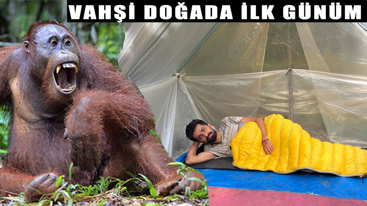 Otostop ile Obama'nın Belgesel Çektiği Yağmur Ormanlarına Gidiş ENDONEZYA /361