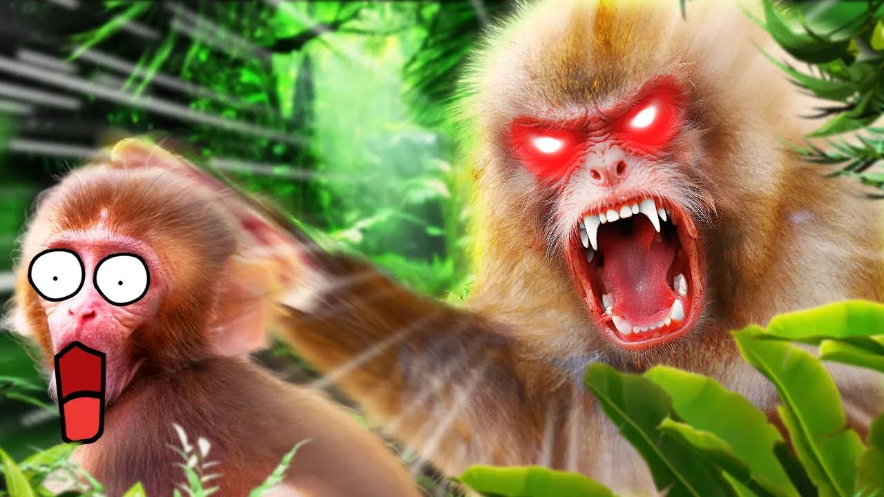Top 9 des Pires Mamans du Monde Animal