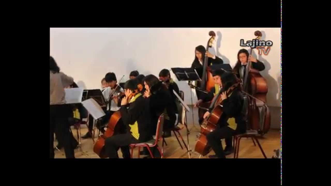 LAJINO.CL - 