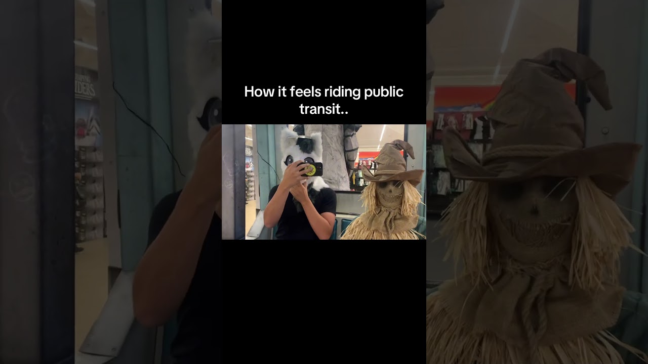 The city bus is not for the weak #publictransit #spirithalloween #subway #citybus