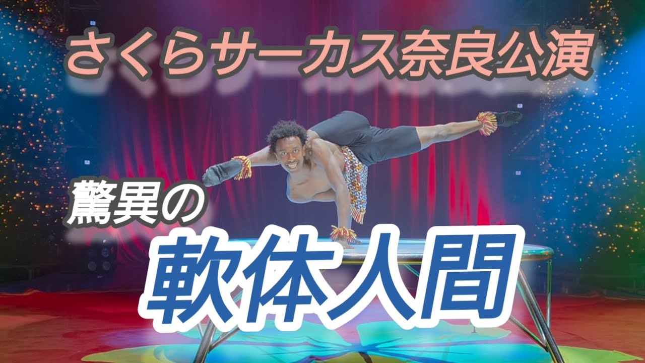 【さくらサーカス奈良公演🎪】閲覧注意のパフォーマンス❗️自在に関節が外せる軟体人間ショー