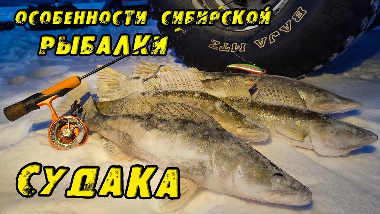 ГДЕ ИСКАТЬ и КАК ПОЙМАТЬ СУДАКА Зимой? Ошибка из-за которой я потерял ТРОФЕЙ! Зимняя рыбалка. 