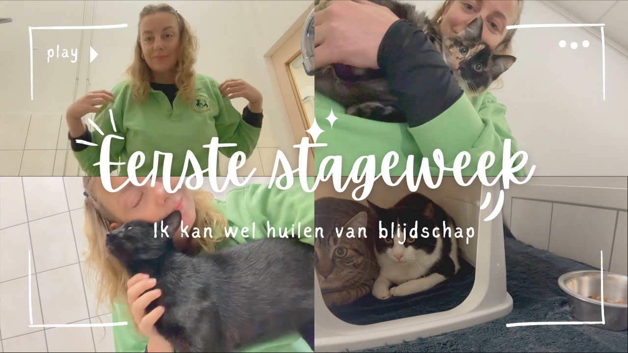DE EERSTE STAGEWEEK | Sophie Hol | 2025