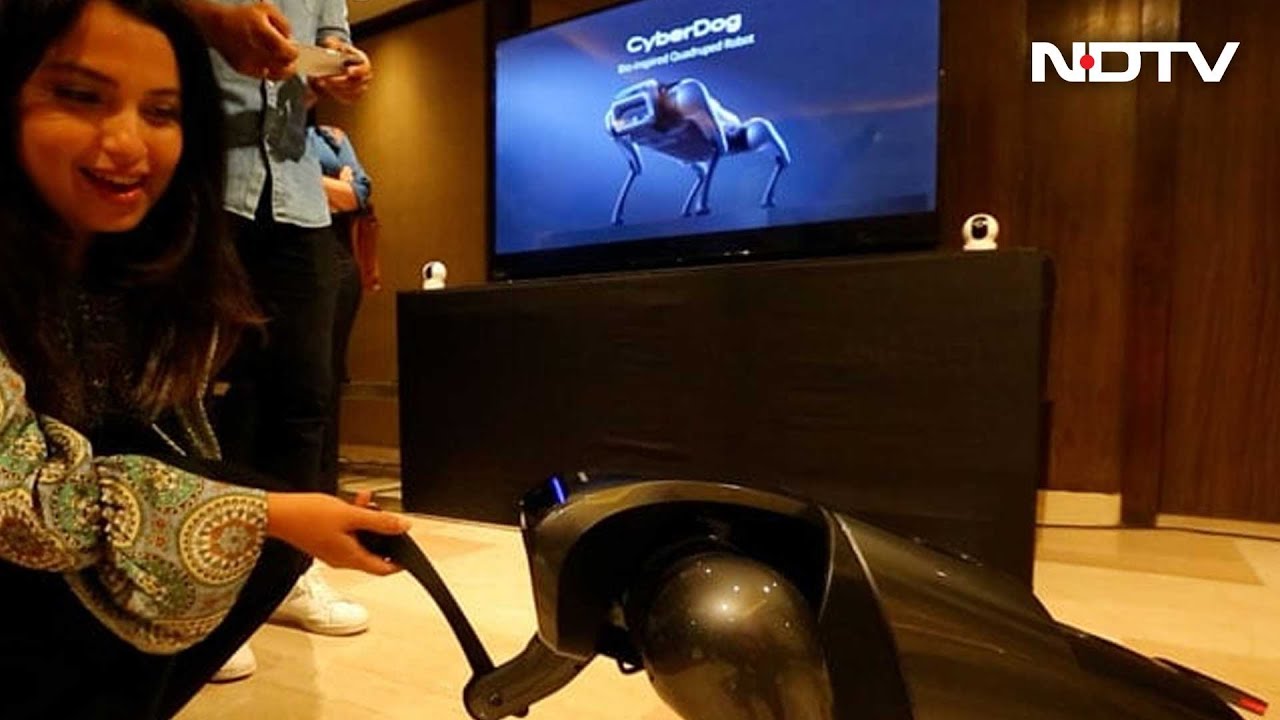 Xiaomi Cyberdog: A Revolutionary Pet Or A Robot? | The Gadgets 360 Show