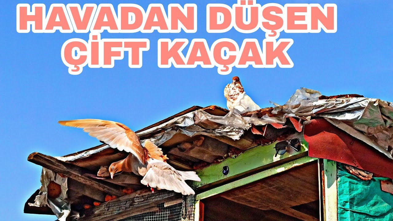 HAVADAN DÜSEN ÇİFTE KAÇAKLAR  ATEŞİMİZ CİKTİ