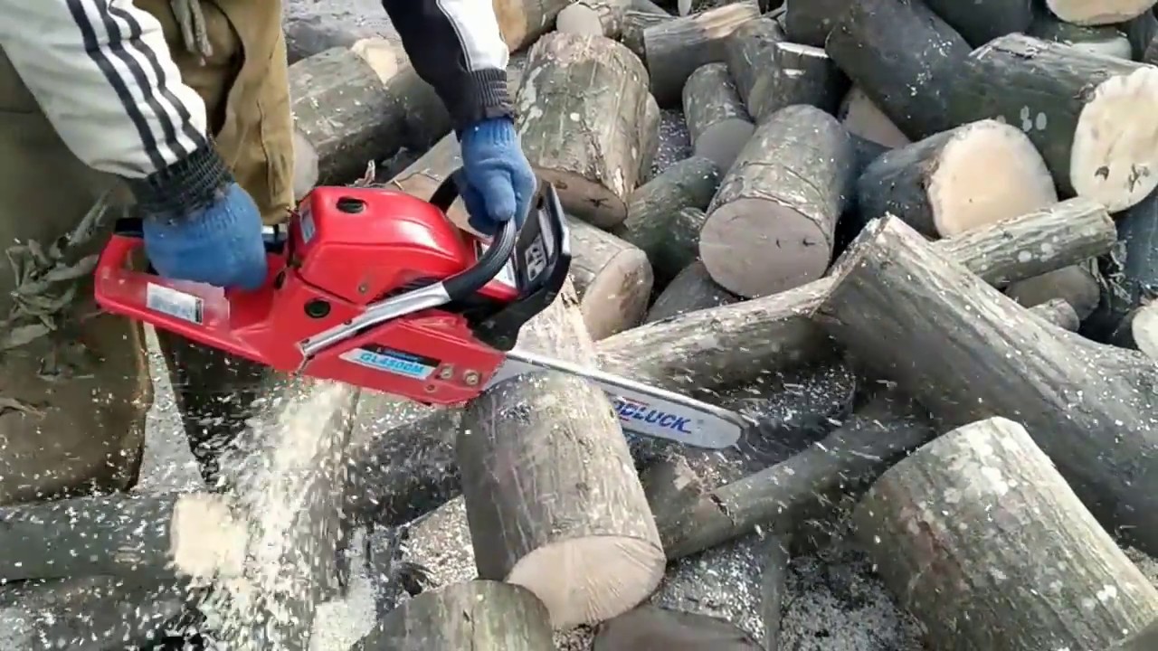 Порезка граба