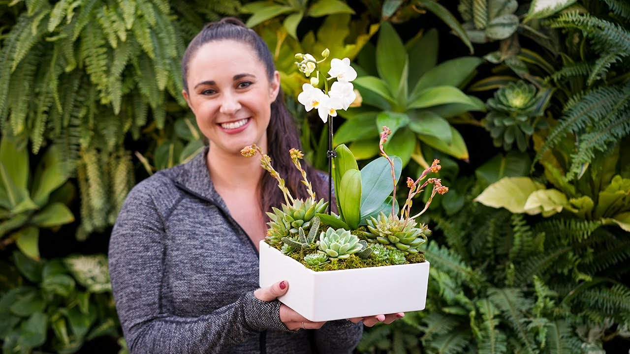 Orchid and Succulent Arrangement