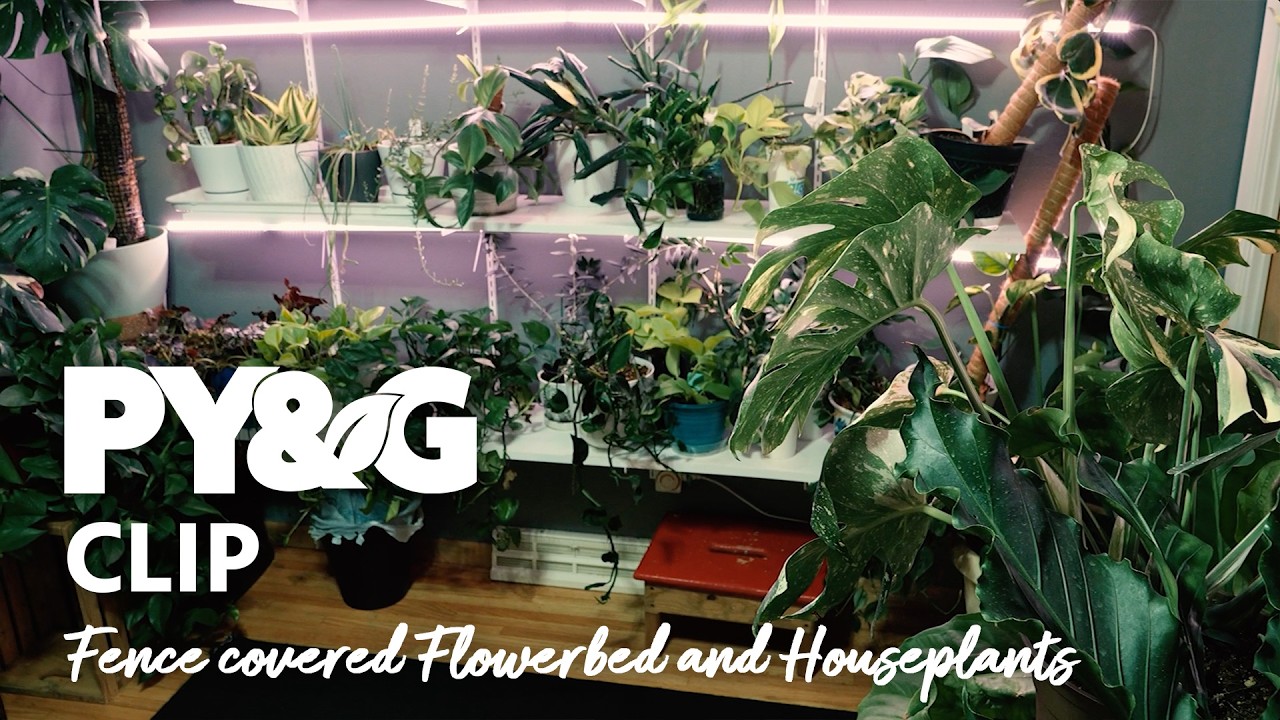 Fence covered Flowerbed and Houseplants | The Plant Addict | Prairie Yard & Garden 3905