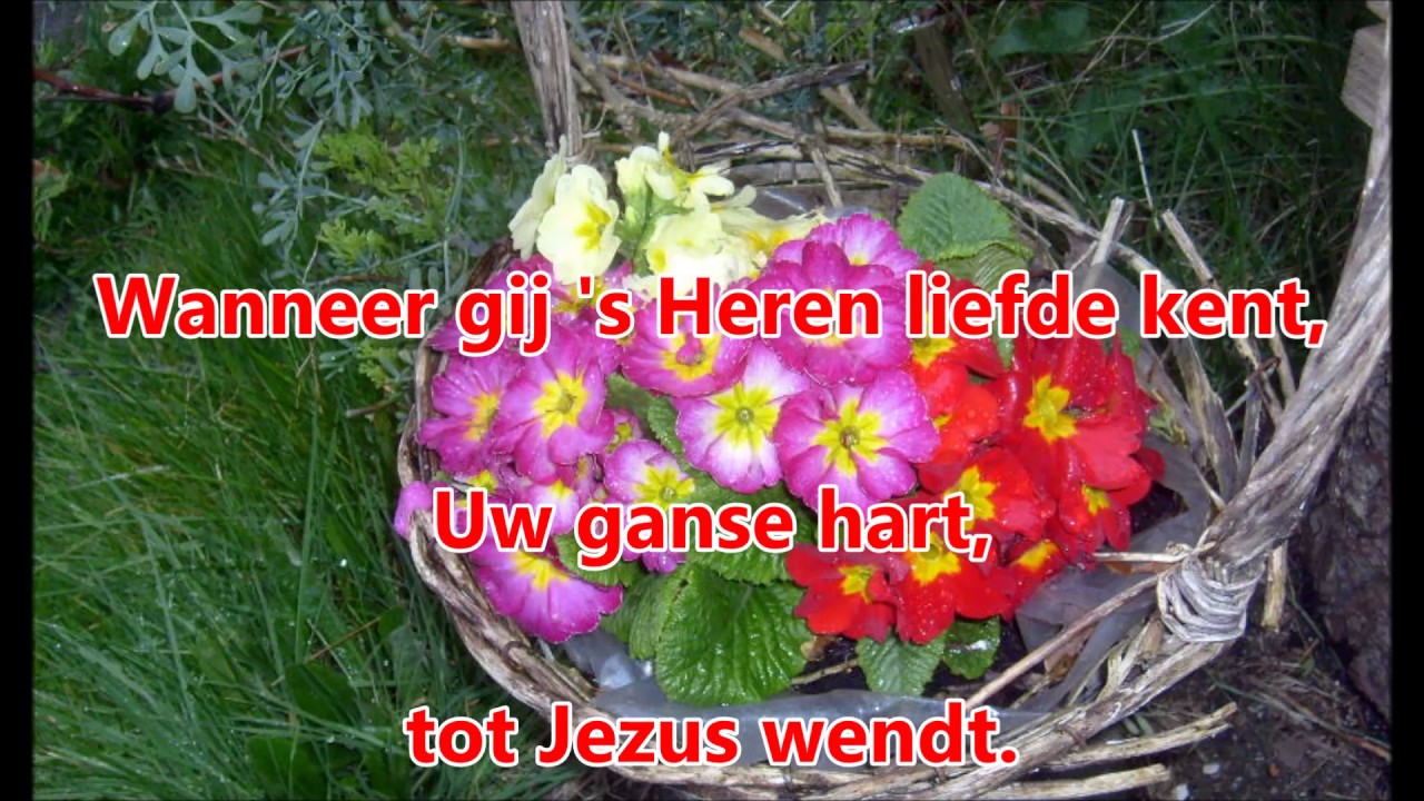 Glorieklokken nr: 506 