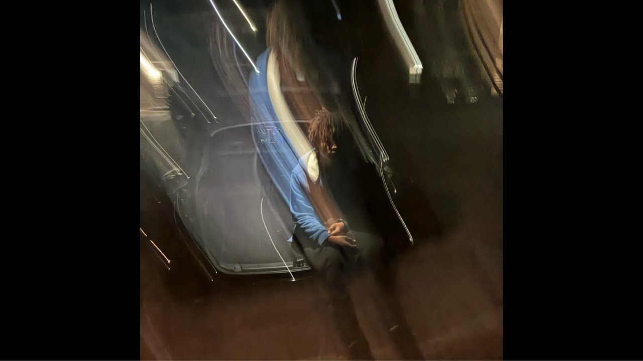 Srsem seless - Jester